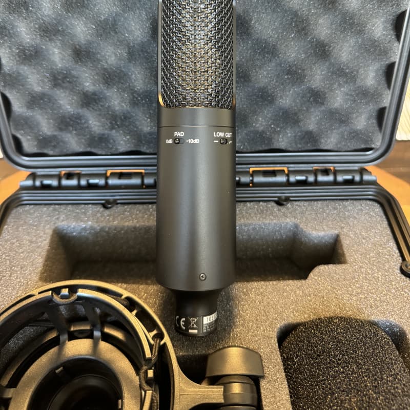 2010s Sony C-100 Hi-Res Dual Capsule Condenser Microphone Black - used Microphone     Condenser Vocal