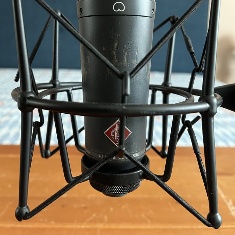 2010s Neumann TLM 193 mt Large Diaphragm Cardioid Condenser Mi... - used Microphone   Cardioid