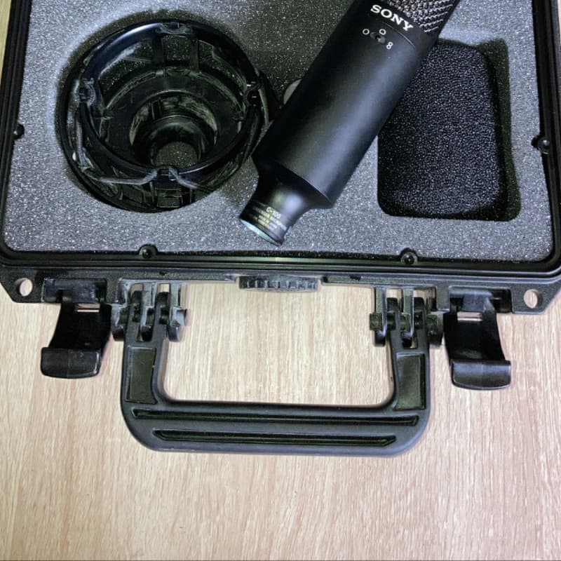 2010s Sony C-100 Hi-Res Dual Capsule Condenser Microphone Black – used Microphone