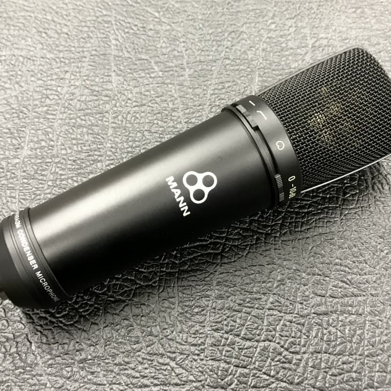 2000 Mann M21 Black – used Microphone     Condenser Vocal