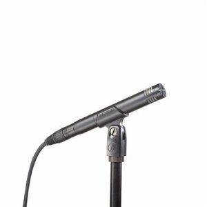 Audio-Technica AT2031 Cardioid Condenser Microphone