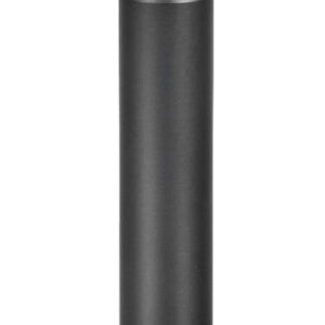Beyerdynamic M160 Double Ribbon Dynamic Microphone