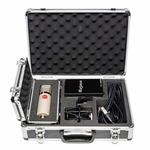 Mojave Audio MA 300SN Condenser Microphone Multi-Pattern Tube LDC - Matched Pair