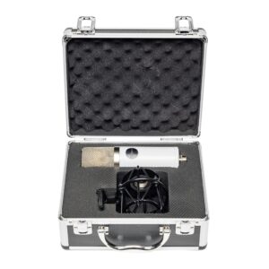 Mojave Audio MA-201fet Condenser Microphone Vintage Grey, FET LDC - Matched Pair