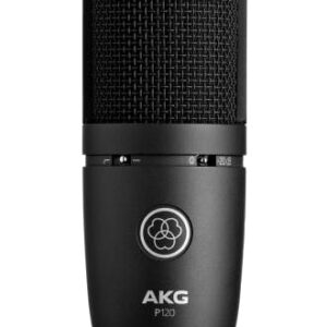 AKG Perception P120 Mic