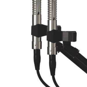 Warm Audio Fen-tone Instrument Ribbon Microphone With Selectable In-Line Preamp STEREO PAIR