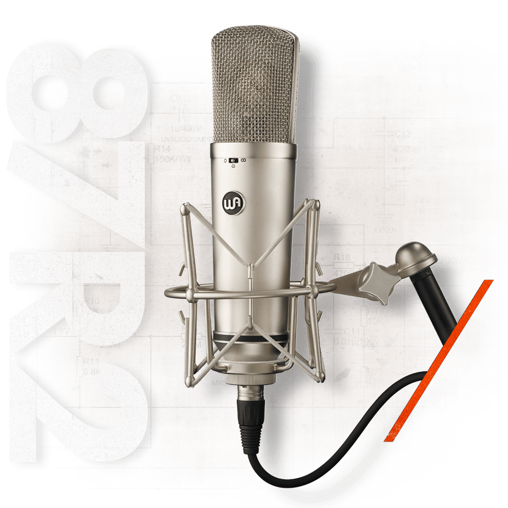 Warm Audio WA87R2 Condesor Microphone