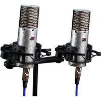 Aston Spirit Stereo Pair Bundle