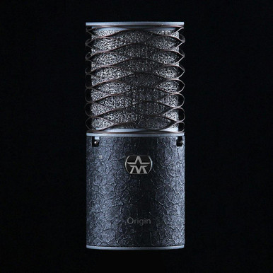 Aston Origin Black Condenser Microphone Bundle with Swiftshield Pop Filter