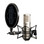 Sontronics STC-2 Pack with Large Diaphragm Microphone in Silver - Image 3
