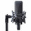 Audio-Technica AT4033 Condenser Mic