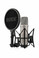 Rode NT1 5th Generation with SM6 Shockmount & Pop Filter - Silver - Image 3