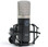 Roswell Pro Audio Mini K47 Condenser Microphone - Image 3