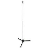 Gravity MS431HB Straight Microphone Stand