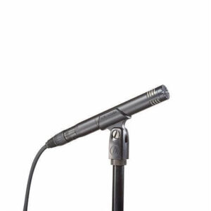 Audio-Technica AT2031 Cardioid Condenser Microphone - Image 1