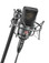 Neumann TLM 103 Studio Condenser Mic In Black Finish with Shock Mount - Image 3
