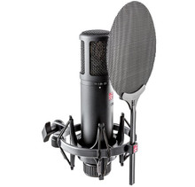 sE Electronics SE2200 Microphone - Image 2