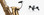 DPA 4099 CORE+ Mic Loud SPL with Clip for Saxophone - Image 3