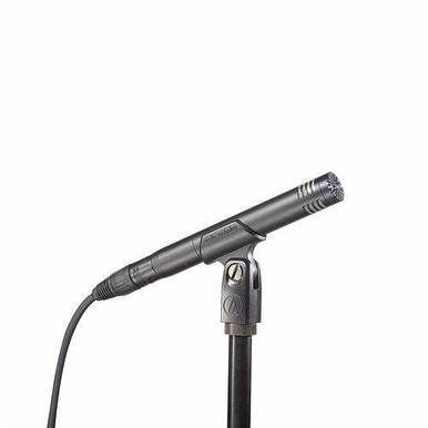 Audio-Technica AT2031 Cardioid Condenser Microphone