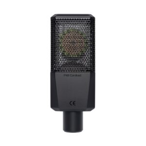 Lewitt LCT 440 PURE Condenser Microphone Stereo Pair