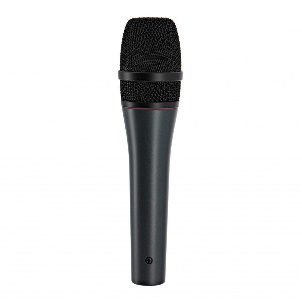 Sennheiser e865-S Condenser Microphone with Switch