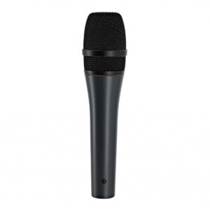 Sennheiser e865-S Condenser Microphone with Switch
