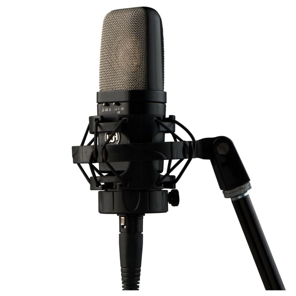 Warm Audio WA-14 Studio Condenser Microphone