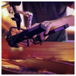 sE Electronics VR2 Voodoo Active Ribbon Mic