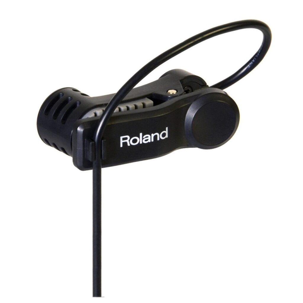 Roland EC-10M El Cajon Mic Processor