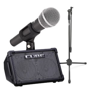 Roland Cube Street EX with SubZero Dynamic Microphone Pack - Image 1