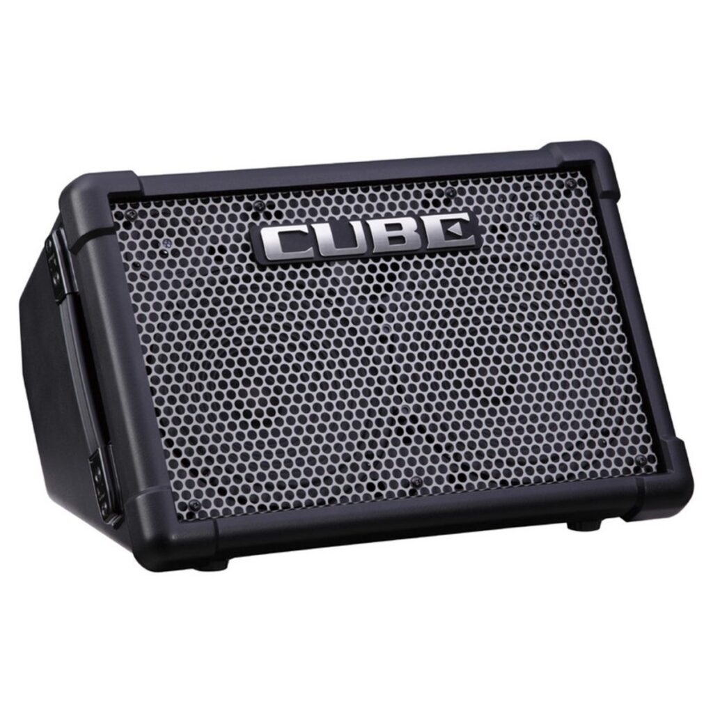Roland Cube Street EX with SubZero Dynamic Microphone Pack