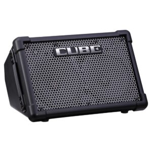 Roland Cube Street EX with SubZero Dynamic Microphone Pack - Image 2