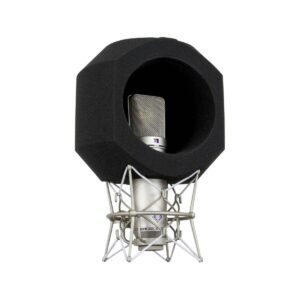 Imperative Acoustics IsoCube Vocal Microphone Isolator