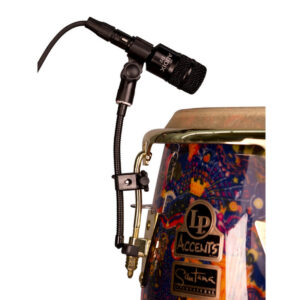 Audix D-Clamp Flexible Gooseneck Clip with Drum Tension Lug Clamp - Image 3