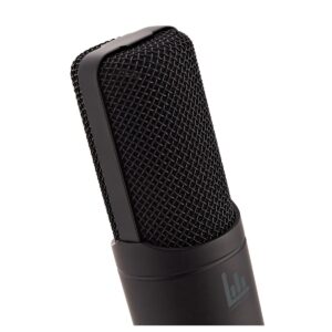 Lambden Audio LA-212 Condenser Microphone - Image 2