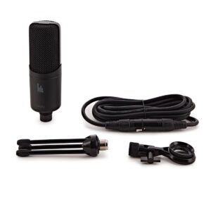 Lambden Audio LA-212 Condenser Microphone - Image 3