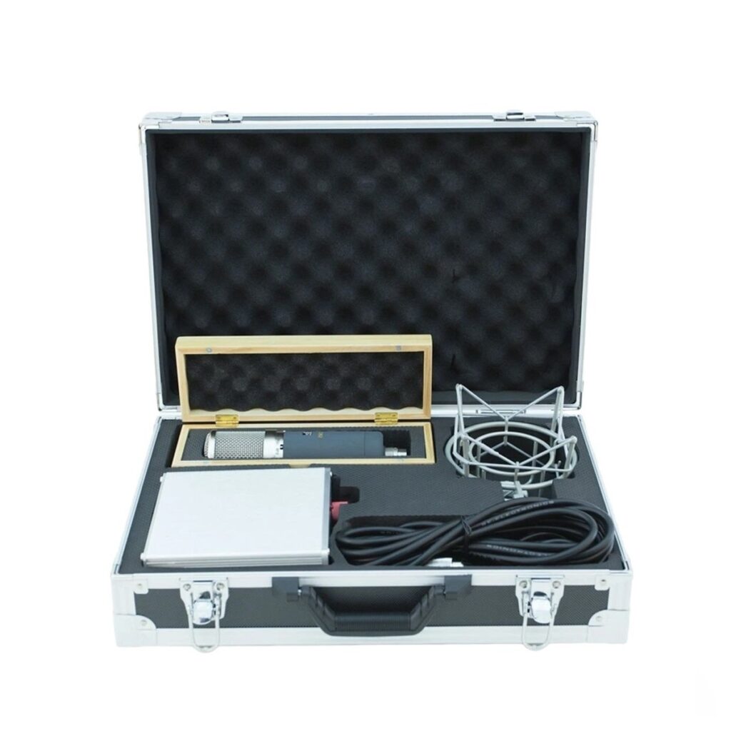 sE Electronics Z5600a MKII Tube Mic